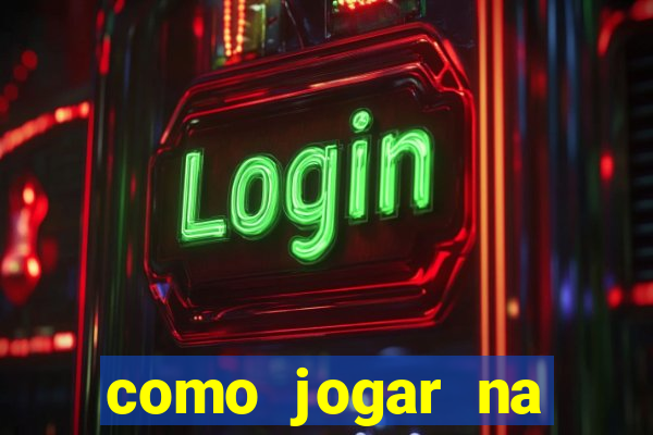 como jogar na lotinha do jogo do bicho